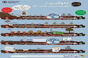 چگونگی جلوگیری از شور شدن خاک
